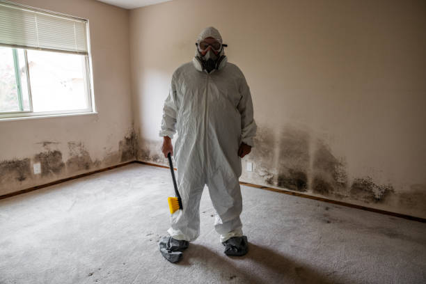 Best Bathroom Mold Remediation in Quantico Base, VA
